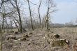 Vojenskí policajti sa zdokonaľovali v oblasti vyšetrovania environmentálnej kriminality